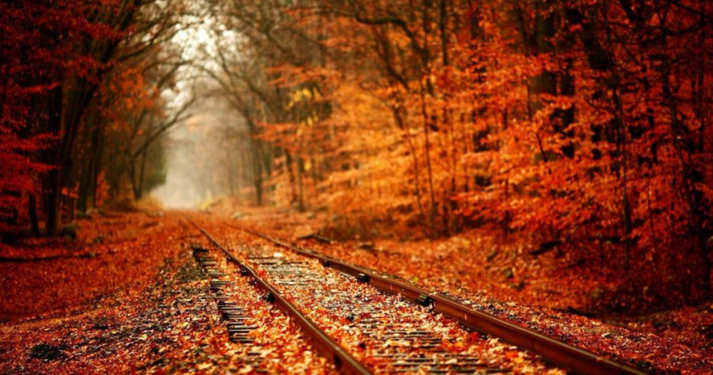 Fall leaves and train tracks