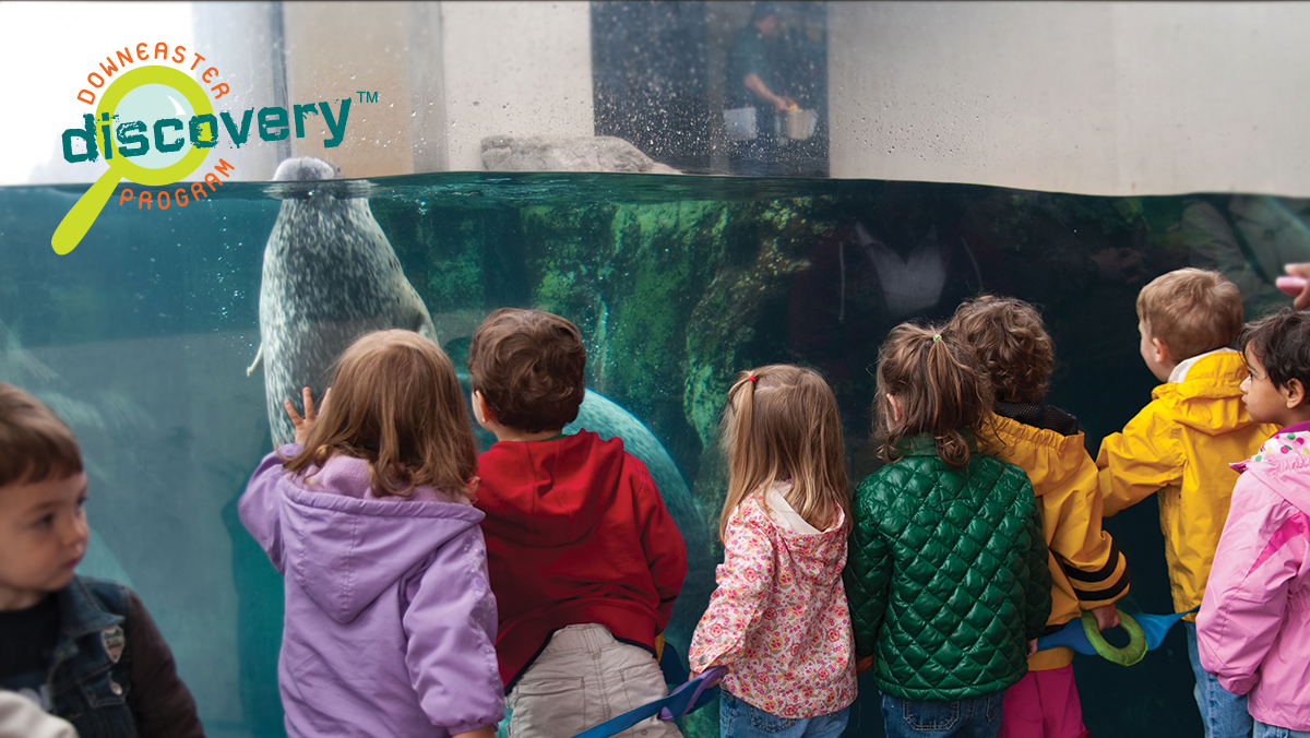 Kids at Aquarium