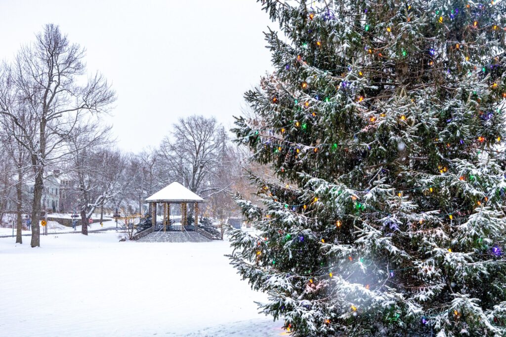 Holiday lights and seasonal decorations in Brunswick, ME accessible by Amtrak Downeaster.
